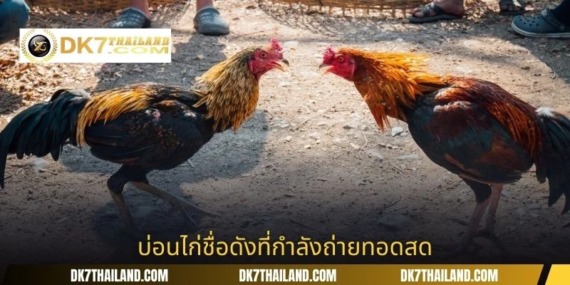 บ่อนไก่ชื่อดังที่กำลังถ่ายทอดสด