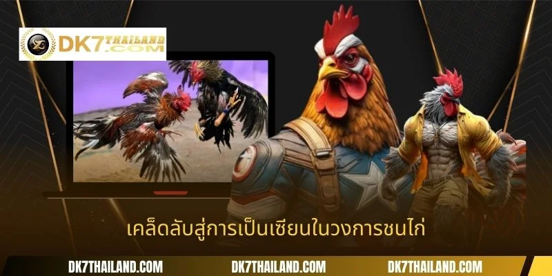 เคล็ดลับสู่การเป็นเซียนในวงการชนไก่