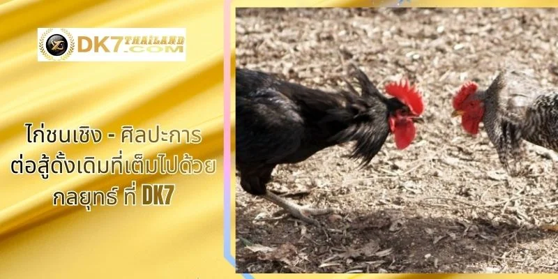 ไก่ชนเชิง – ศิลปะการต่อสู้ดั้งเดิมที่เต็มไปด้วยกลยุทธ์ ที่ DK7
